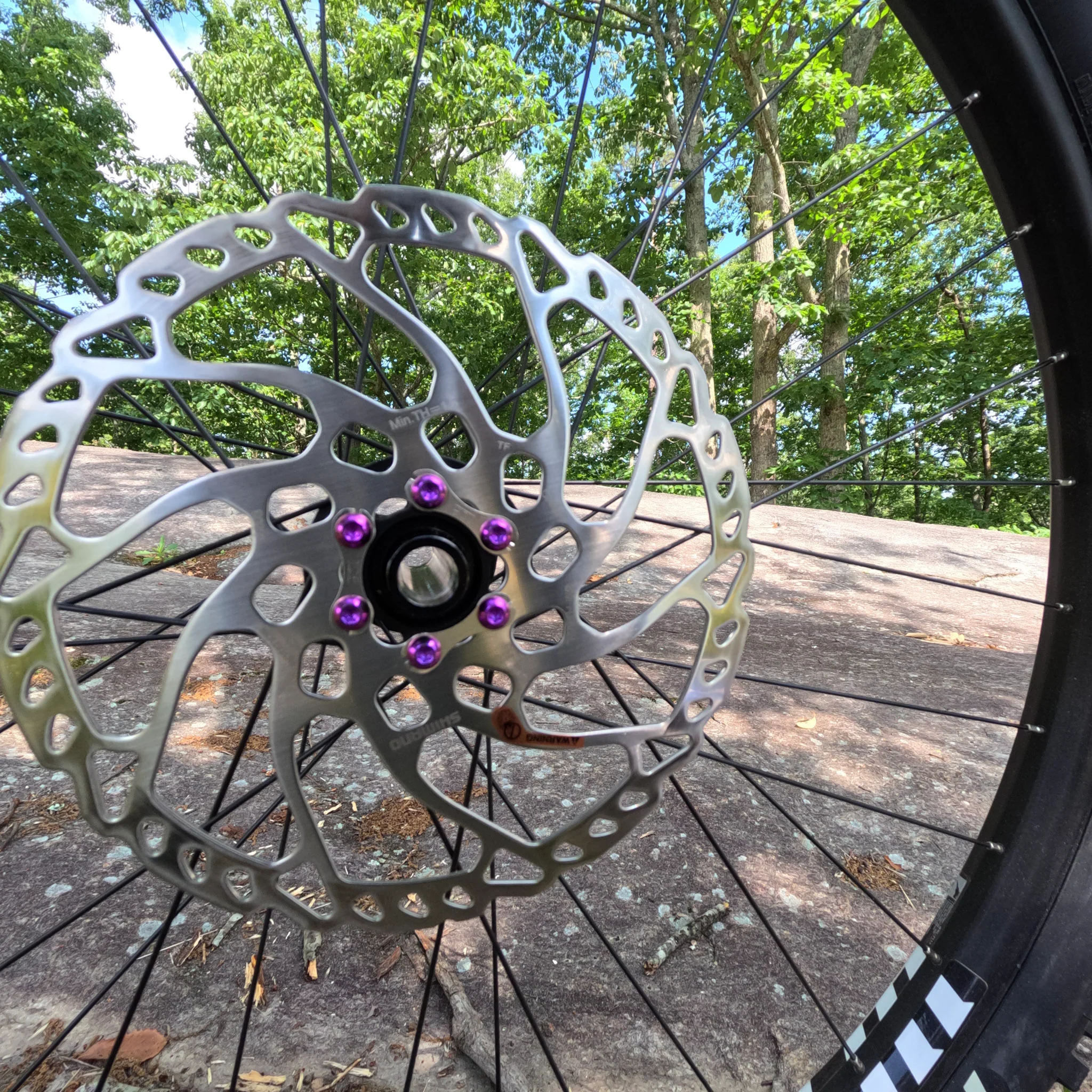 Titanium Brake Rotor Bolts Kit