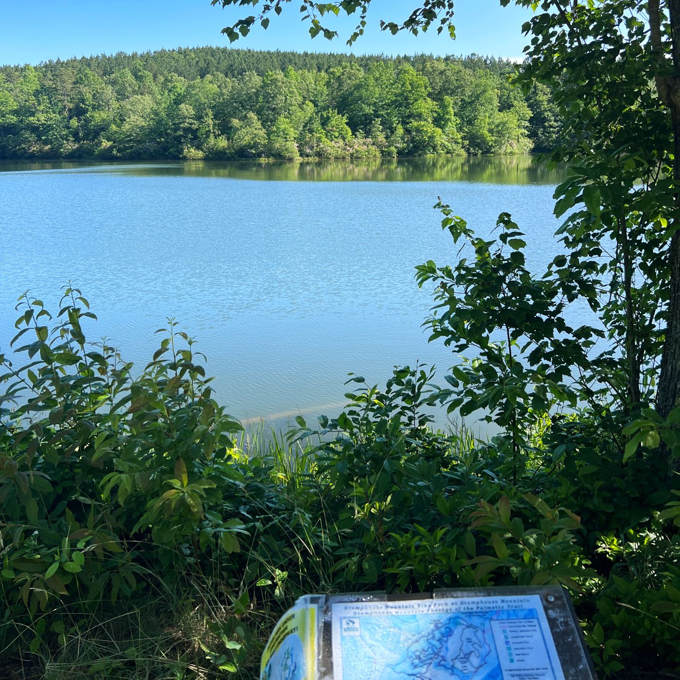 A lake seen through trees from a trail in North Georgia